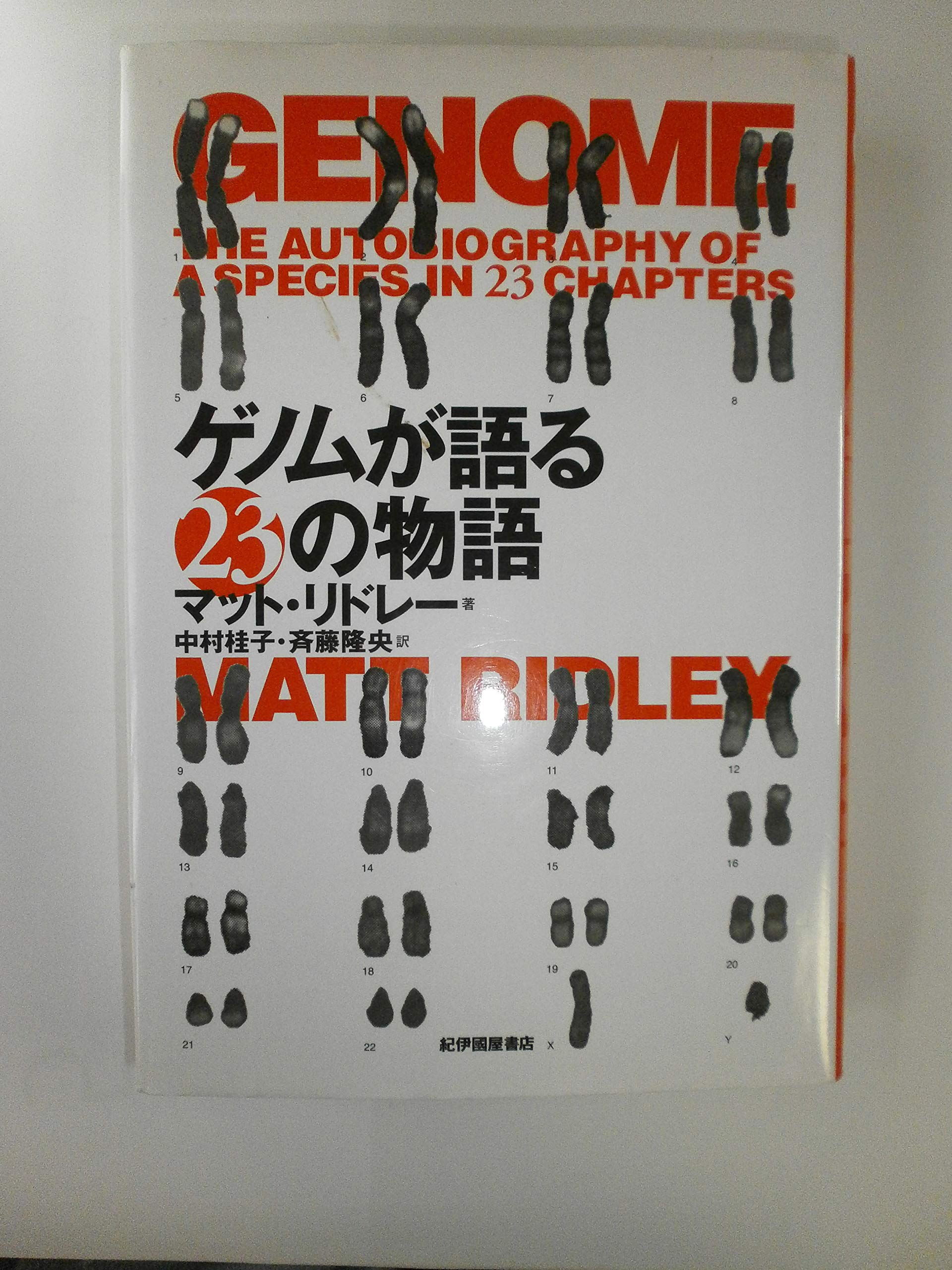 ネイチャー　ヒトゲノム特集号　2冊組 ネイチャー ヒトゲノム特集号 2冊組